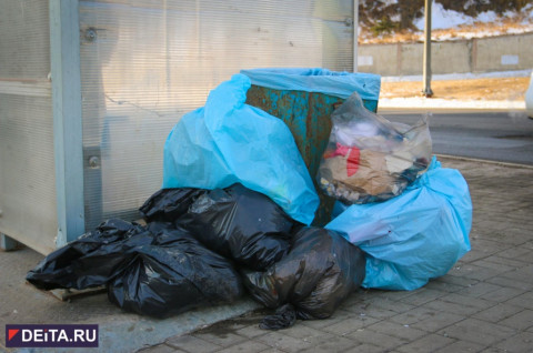 Страшная находка в мусорном мешке поразила своей жестокостью