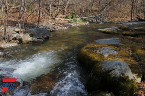 Концентрация кокаина в реке превысила норму