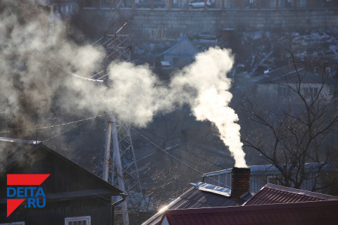 «Сюрприз» во дворе частного дома вынудил женщину идти в полицию