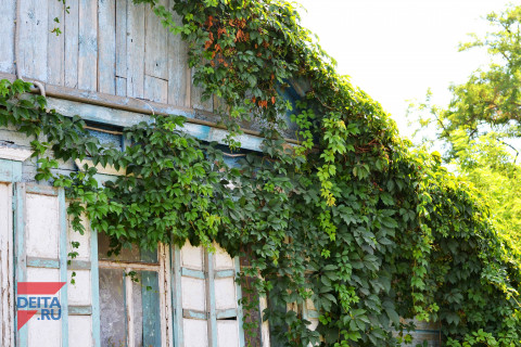 "Деревянная" ипотека от правительства с треском провалилась