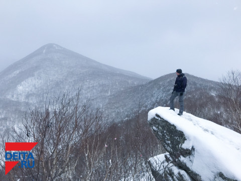 Экологи возмущены вырубкой леса в приморском заповеднике