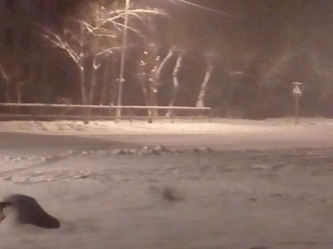 Сахалин занесет снегом