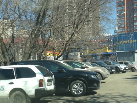 Суровое наказание настигло паркующихся на газонах