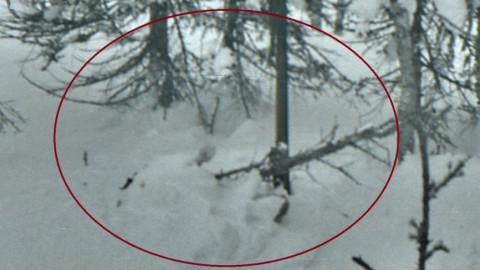 Интересный поворот наметился в деле о гибели группы Дятлова