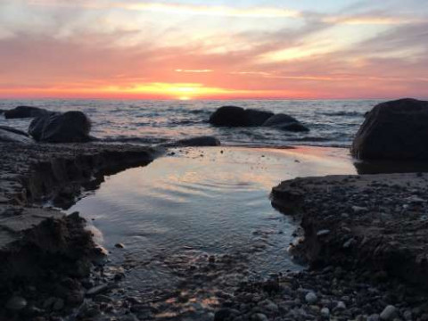 Эстония потребовала компенсацию от России