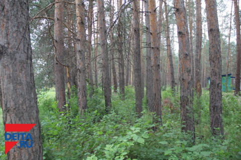 Ученные против главы Владивостока – земельный скандал не утихает в Приморье