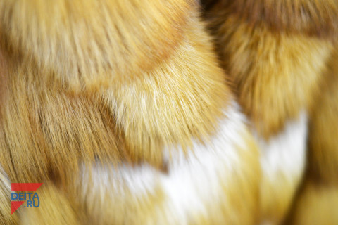 Корпоратив одной владивостокской фирмы закончился грустно