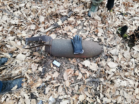 Бомба в лесу угрожала приморцам