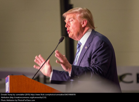 Госдума нашла способ навсегда остудить пыл Трампа