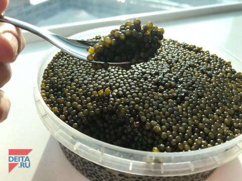 Либо чудо, либо фокус: в Росстате заявил о росте экономики