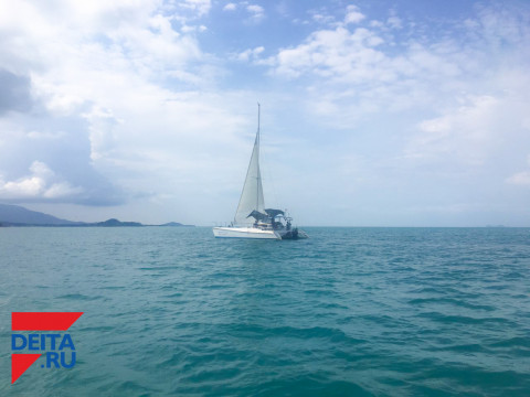 Изменение цвета Мирового океана предрекли ученые