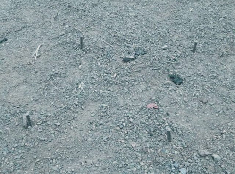 Железные штыри угрожают приморским детям