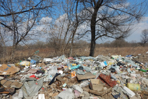 Житель Владивостока навалил в неположенном месте