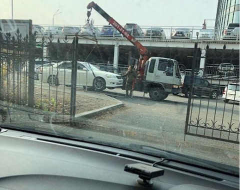 Девушка похитила старую клячу