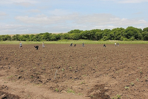 Программу «дальневосточный гектар» могут закрыть