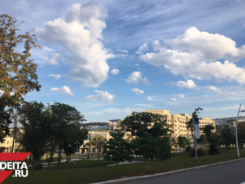 Офшор и СПА: Трутнев рассказал о будущем Русского острова