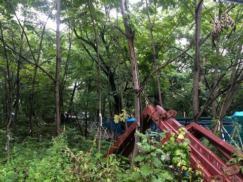 Академические земли пустят с молотка