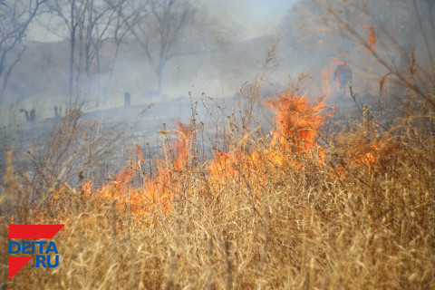 В горящей сухой траве погиб человек
