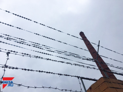 Вертухай на зоне зря вступил в говор с бродягами