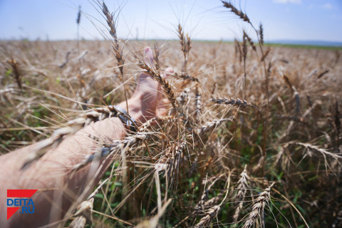 КНДР просит Россию о маленьком подарке