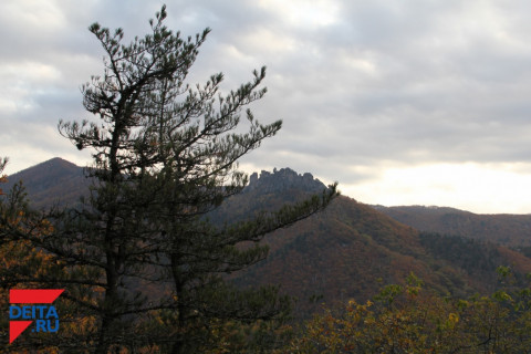 В лесу найден труп школьницы