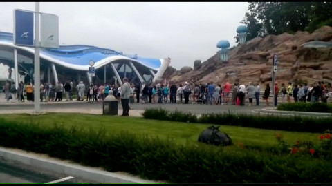 Экс-директор Приморского океанариума вышел сухим из воды