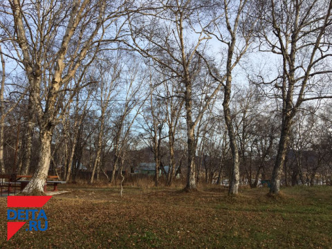 Незаконные действия выявили специалисты в пригороде