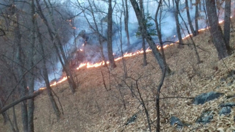 Дым и смог накрыли Владивосток