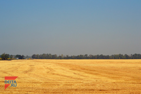 Приморский бизнес портит почву