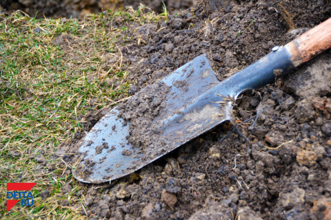 У дачников осталось 2 недели