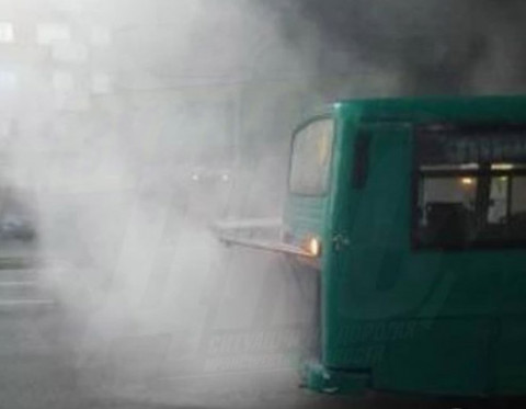 «Право на безнал-2»: куда уплыл «Дельфин» и корейские кешбоксы