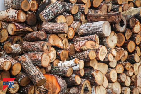 Приморца на лесопилке покалечил товарищ