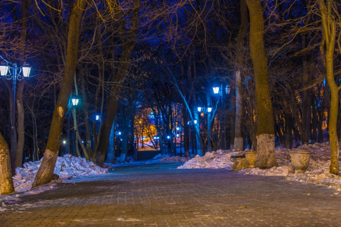 Задуман большой проект: епархия вернула территорию Покровского парка