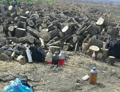 Семь лесных пожаров полыхало в Приморье