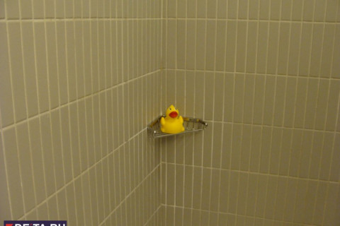 Горячую воду перестанут отключать летом надолго