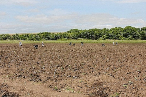 За мошенничество с землей осудили преступную группу