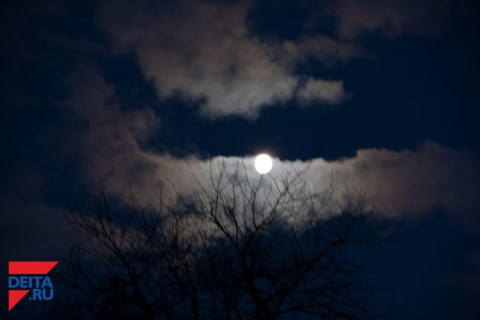 Последнее суперлуние года смогут увидеть земляне