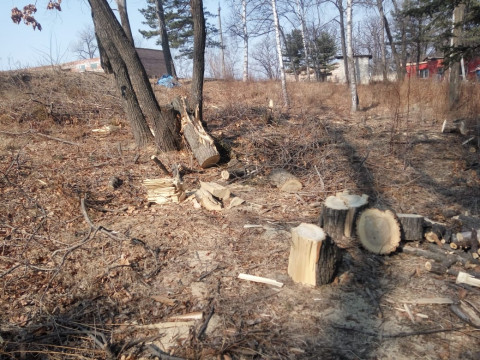 Муниципальное имущество пилят на дрова