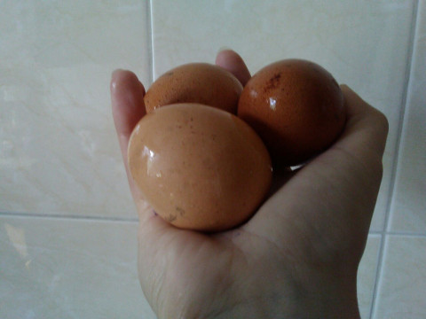 Госдума защищает "девяток" яиц