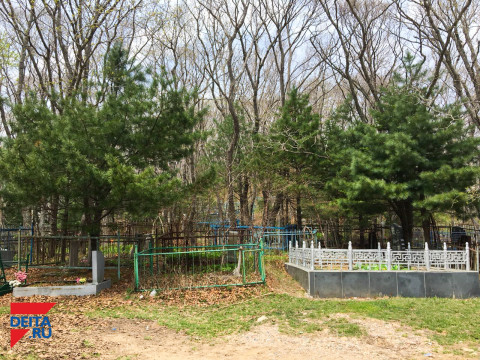 Правительство снова взялось за декриминализацию похоронного рынка