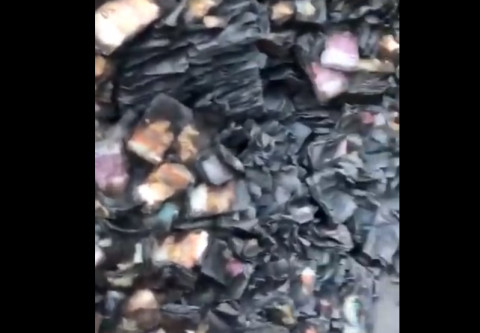 Горы валютных денег пытались сжечь в России