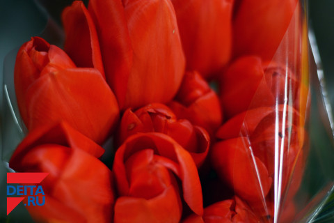 Депутат Госдумы предлагает снизить цены на цветы