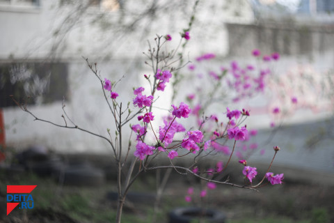 Что ждать от погоды в начале марта, сказали синоптики