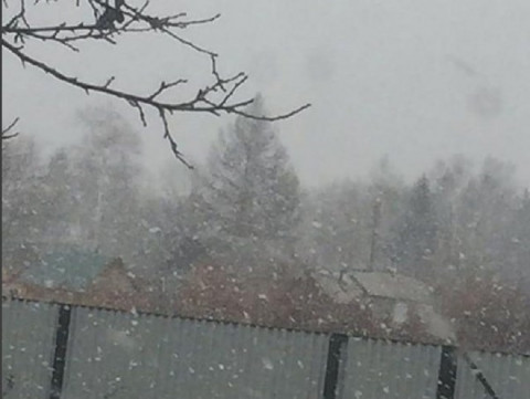 О снеге в Приморье рассказали синоптики