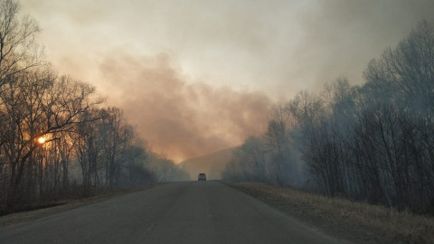 «Дышать нечем» — в Приморье полыхает лес вдоль трассы