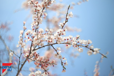 Прогноз на март уточнили синоптики