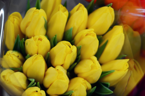 Не всем продавцам цветов дадут заработать на 8 марта