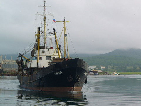 Приморские рыбаки побили минтайный рекорд