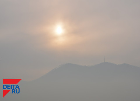 Приморцев не пускают в лес