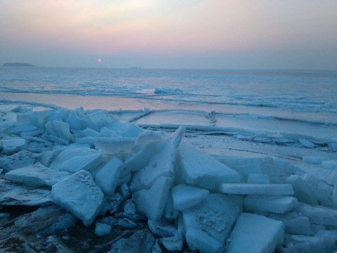 Собака на оторванной льдине заставила переживать приморцев